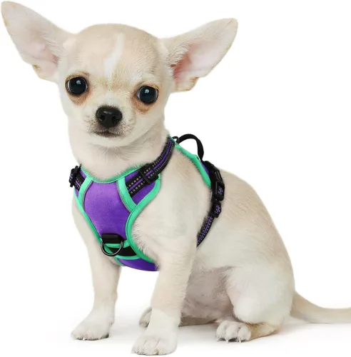 Miniatura 41 de Eagloo Arnés para perro pequeño, sin tirones, chaleco de servicio con tiras reflectantes y asa de control, ajustable y cómodo para caminar, arnés