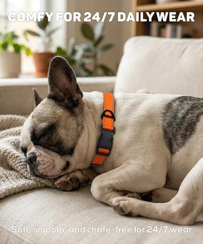 Miniatura 4 de TagME Collares reflectantes de nailon para perro, collar clásico ajustable para mascotas con hebilla de liberación rápida para perros medianos, Verde