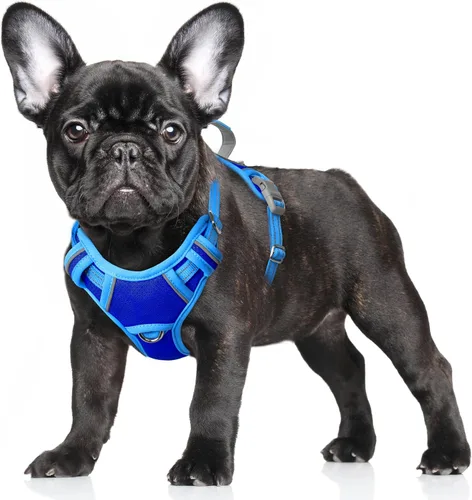 Miniatura 63 de BARKBAY Arnés para Perro Sin Tirones Talla Grande Arnés Reflectante para Perro con Clip Frontal y Asa de Control Fácil para Caminar Entrenar Correr