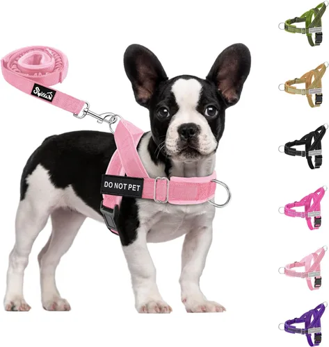 Miniatura 16 de SlowTon Arnés para perro sin tirones, juego de arnés y correa resistente para perros medianos y grandes, arnés táctico reflectante con acolchado
