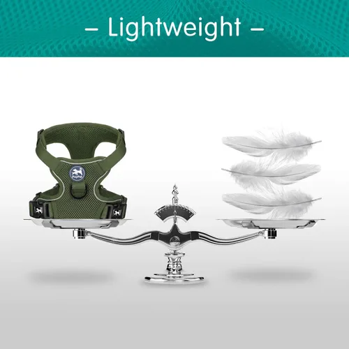 Miniatura 4 de PoyPet chaleco reflectante de malla suave transpirable para perro sin estrangulamiento doble acolchado con cuello y pecho ajustables Verde(Military