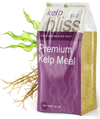 Miniatura 7 de Kelp Bliss (10 libras) + Char Bliss (8 cuartos de galón) – Fertilizante orgánico de harina de algas y biocarbón orgánico para plantas – Carbón