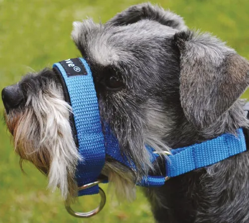 Miniatura 3 de Collar con bozal para perro, color azul , Azul