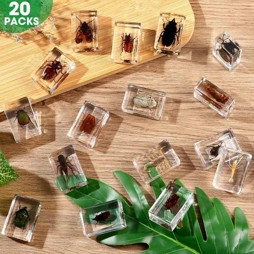 Miniatura 2 de Juego de 20 muestras de insectos en resina, colección de insectos, pisapapeles, arácnidos, resina de arácnidos, diferentes tipos o tamaños, insecto
