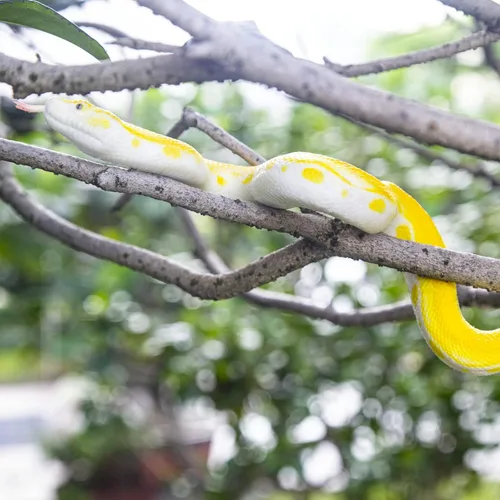Miniatura 2 de SIENON - Serpientes falsas realistas de juguete, figura de serpiente de goma suave para jardín, asusta a las aves y ardillas, modelo de acción
