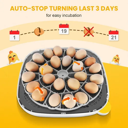 Miniatura 7 de Sailnovo Incubadora para 24 huevos, incubadora de huevos de 4 modos con giro automático de huevos, control de temperatura y alarma de humedad, vista