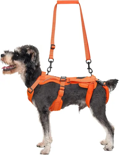 Miniatura 9 de OneTigris Arnés de elevación para perros pequeños XS, arnés transportador para perros pequeños, chaleco de elevación de cuerpo completo con correas