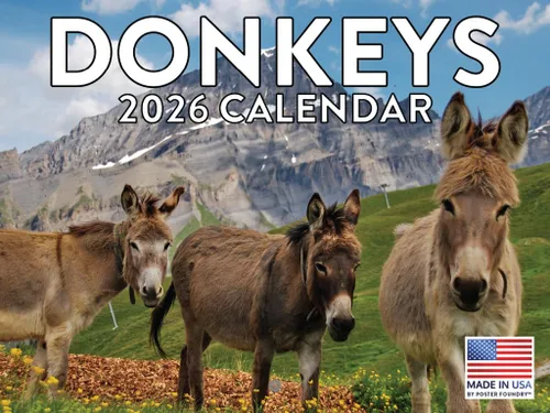 Miniatura 71 de Calendario alpaca 2026, calendario mensual de pared de 12 meses Hecho en Estados Unidos.