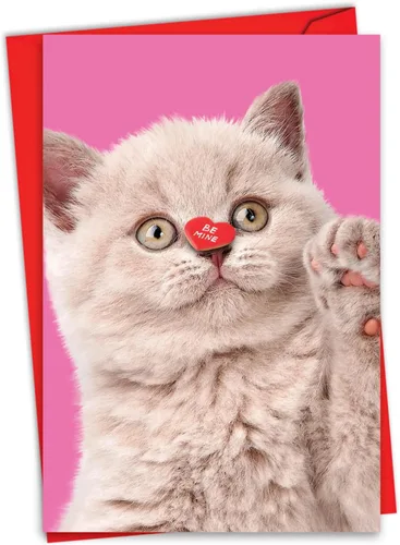 Miniatura 9 de NobleWorks Tarjeta de felicitación del día de San Valentín con sobre de 5 x 7 pulgadas para hombres, mujeres y parejas (1 tarjeta) caja de gato