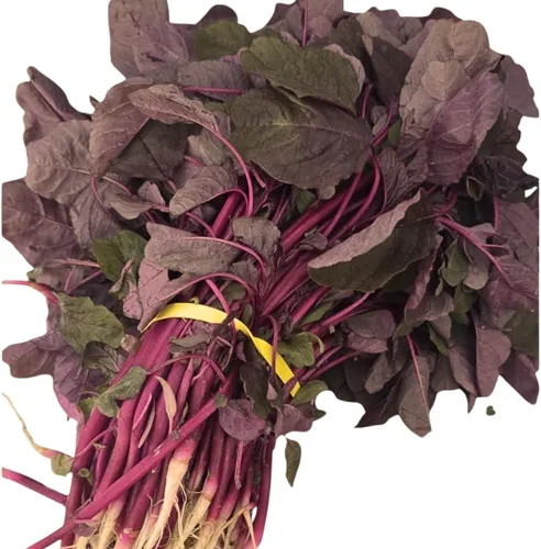 Miniatura 2 de Red Amaranth Lal Tuktuki Seeds - Bangladeshi Lal Shak Amaranthus Tricolor Vegetal de hoja roja de rápido crecimiento Microverdes y semillas