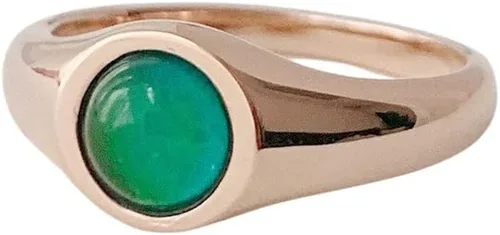 Honeycat Anillo con sello de humor tamaño 4, 5, 6, 7, 8, 9, 10, 11 en oro, oro rosa o plata Joyería delicada minimalista