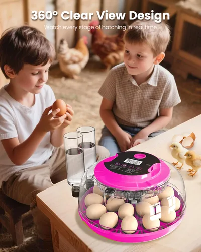 Miniatura 8 de Incubadora para incubar huevos, capacidad de 18 huevos, incubadoras con ovoscopio, girador automático de huevos, control de temperatura y humedad