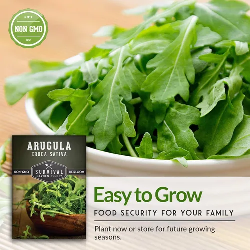 Miniatura 8 de Survival Garden Seeds - Semillas de rúcula para plantar - 2 paquetes con instrucciones para cultivar verduras de hoja verde cohete de jardín en tu