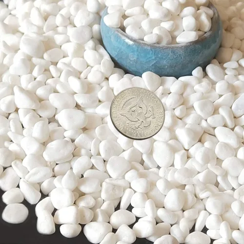 Miniatura 10 de TOYPOPOR Aditivo de suelo de roca de lava hortícola negra para cactus y plantas suculentas sin tintes ni productos químicos, 100% pura roca