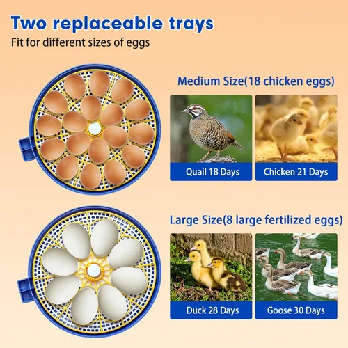 Miniatura 3 de Incubadora automática de 18 huevos con control de temperatura y humedad, incubadoras para incubar huevos, pollo, patos, ganso, paloma, codorniz