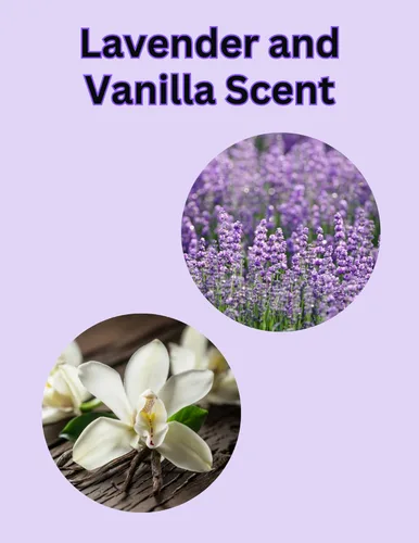 Miniatura 2 de Power Stick Lavender Vanilla Desodorante para mujer, sin aluminio, 2.5 onzas, paquete de 2