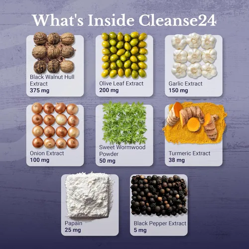 Miniatura 3 de Cleanse24 - Limpieza intestinal para humanos con ajenjo, papaya, nogal negro, limpieza intestinal a base de hierbas, limpieza intestinal