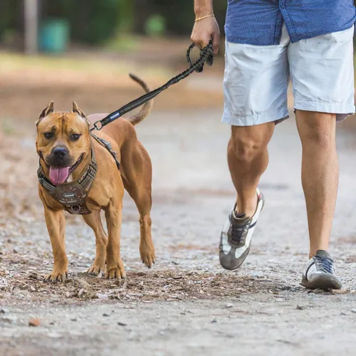 Miniatura 9 de Auroth - Arnés táctico para perros pequeños y medianos, sin tirones, arnés ajustable para mascotas, reflectante, K9, entrenamiento, trabajo, de army