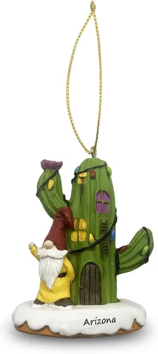 Casa de cactus y un gnomo pintado a mano, adorno navideño para nuevos propietarios de viviendas, adorno de Navidad en el desierto #1 (Arizona