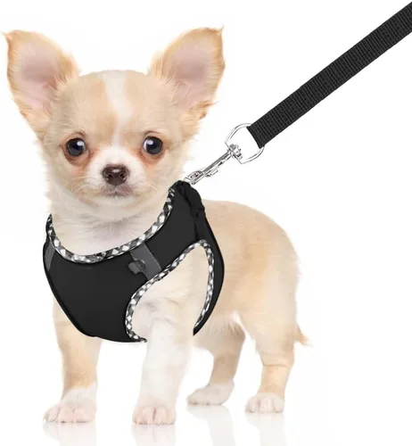 Miniatura 2 de Arnés para perro para perros pequeños y medianos sin tirones, ajustable para cachorros, arnés de malla transpirable reflectante para mascotas