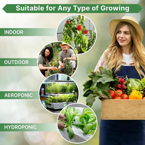 Miniatura 5 de Organo Republic Paquete de Semillas de Lechuga Hoja de Roble 1 G - Más de 800 Semillas de Lechuga Reliquia Sin OMG para Plantar Verduras en Paquete