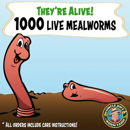 Miniatura 2 de Uncle Jim's Worm Farm 1000 gusanos de harina para reptiles y pollos Gusanos de harina para alimentar lagartos, gecko, dragones barbudos, pollos