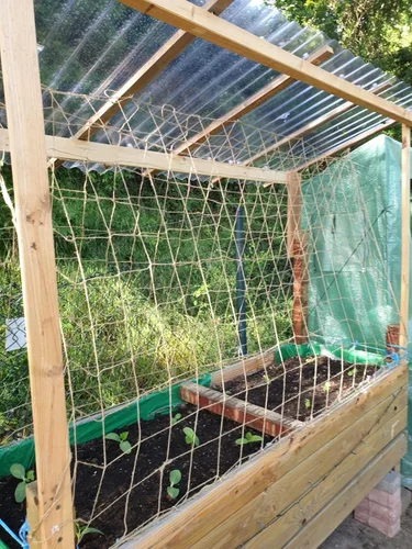 Miniatura 7 de Malla de yute para jardín, red de soporte resistente para plantas trepadoras, pepino, vid, frutas y verduras, plantas trepadoras