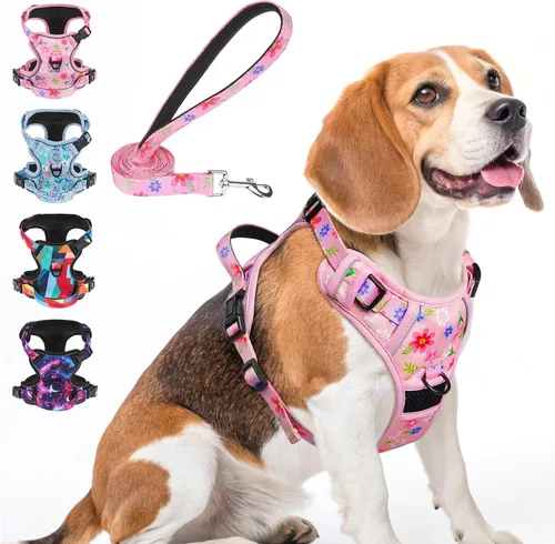 Miniatura 24 de BEAUTYZOO Arnés para perro sin tirones pequeño, juego de arnés y correa ajustable para perro - Fácil de usar con 3 hebillas/mango de control, arnés