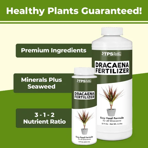 Miniatura 2 de Dracaena Fertilizante - Alimento líquido vegetal para hojas verdes ricas y crecimiento fuerte de la caña, 8 onzas