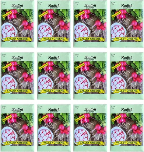 Miniatura 7 de Juego de 12 paquetes de semillas de verduras de roqueta de rúcula, crea un jardín de lujo, todas las semillas son reliquias, 100% sin OMG