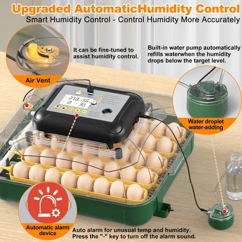 Miniatura 5 de Incubadora de 30 huevos para incubar huevos con giro automático de huevos, pantalla de temperatura y humedad de alta precisión, día de escotilla
