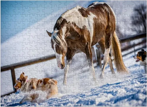 Miniatura 7 de MyPuzzle American Paint Horse On Snow - Rompecabezas de 100 piezas para adultos