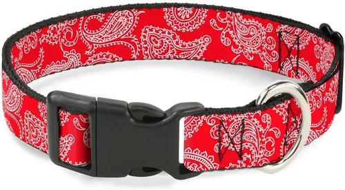 Buckle-Down Collar de clip de plástico rojo y blanco Paisley de 9-15 pulgadas, pequeño