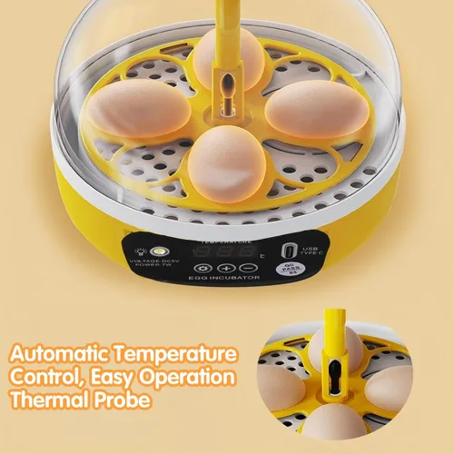 Miniatura 9 de Tissting Mini incubadora de 4 huevos con tapa transparente, control automático de humedad de temperatura de 7 W, máquina de incubación de aves