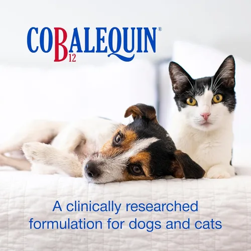 Miniatura 2 de Nutramax Cobalequin B12, suplemento para gatos y perros pequeños, 45 unidades (Paquete de 1)