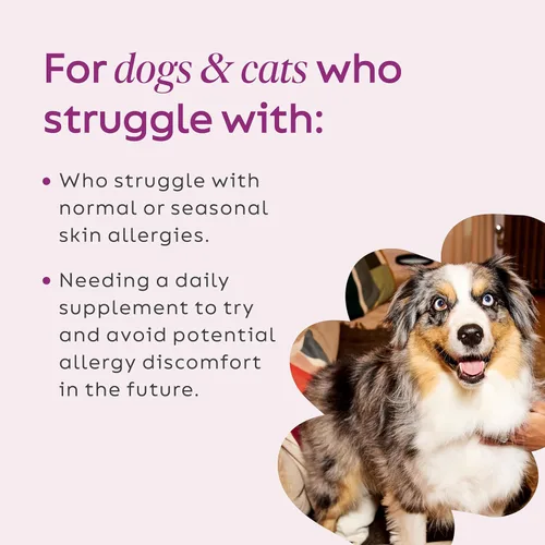 Miniatura 2 de Super Snouts Super Shrooms - Suplemento de apoyo inmunológico de hongos para perros y gatos, 2.64 onzas, fabricado en Estados Unidos, orgánico sin