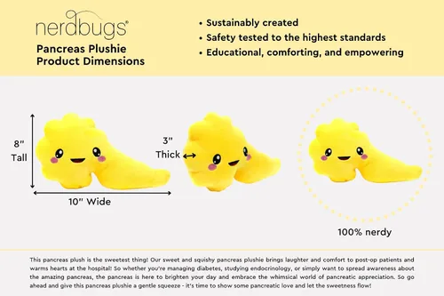 Miniatura 2 de nerdbugs Peluche anatómico del páncreas – Divertido regalo para la diabetes, juguete de recuperación de Diaversario o cirugía, apoyo para el cáncer