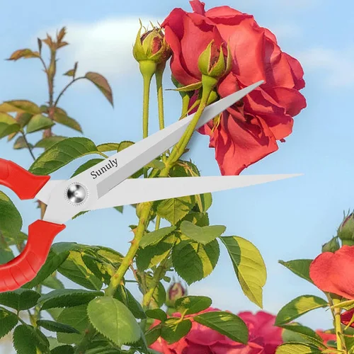Miniatura 5 de Tijeras de podar extralargas, podadoras manuales de jardinería con cuchillas de acero inoxidable, tijeras de jardín para arreglar flores, recortar