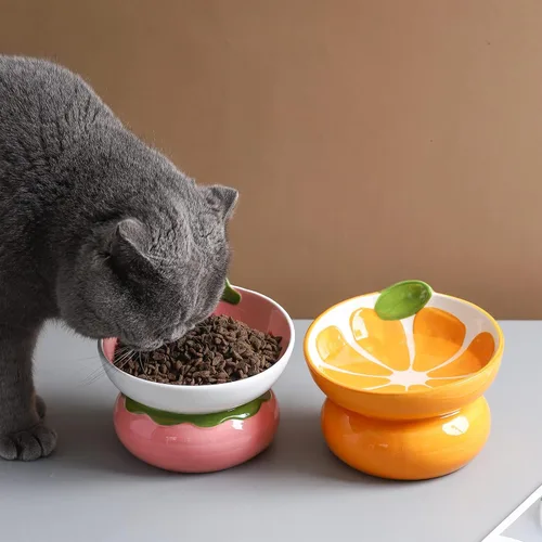 Miniatura 5 de Cuenco elevado de cerámica para gatos, cuenco elevado rosa para gatos de interior, antivómitos y protección de la columna vertebral, bonito plato