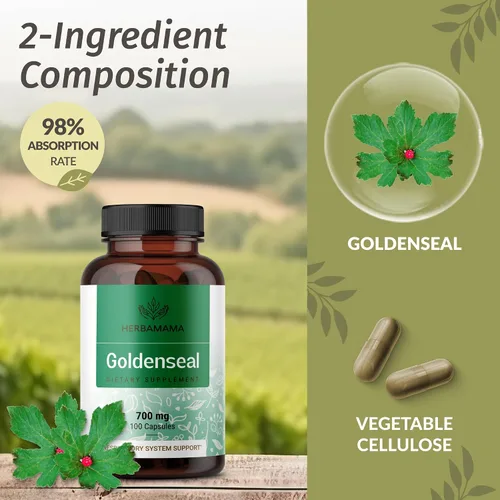 Miniatura 4 de HERBAMAMA Goldenseal - Cápsulas de raíz de 700 mg - Sistema respiratorio y apoyo inmunológico con suplemento en polvo de sello dorado, vegano, sin