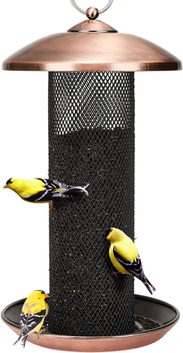 Kingsyard Comederos para pinzones para exteriores colgantes, comedero para pájaros de tubo de malla metálica para semillas de nyjer/cardo, gran