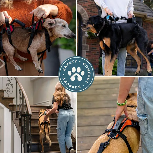 Miniatura 6 de Arnés Help 'Em Up │ Arnés de elevación ajustable para perros │ Soporte de cuerpo completo, soporte de patas traseras (Convencional, Mediano)