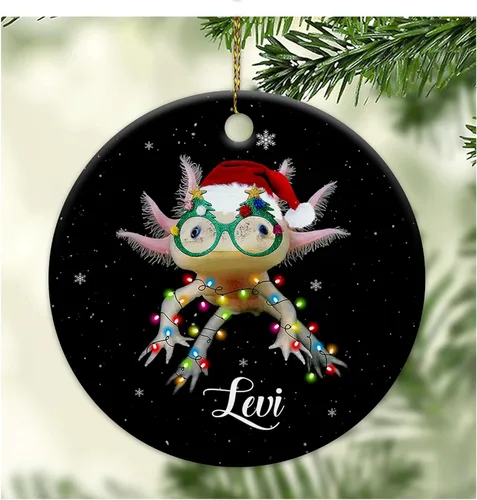 HYTURTLE Adorno de Navidad personalizado de ajolote 2023 – Nombre personalizado para niños/niñas, bonitos adornos de Navidad para niños, adornos