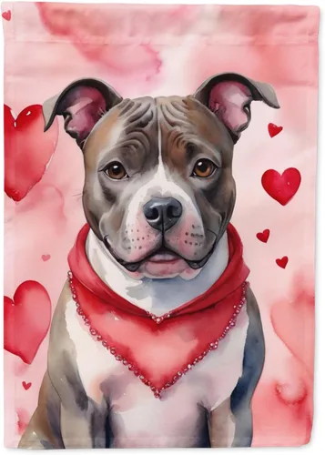 Miniatura 194 de Caroline's Treasures DAC5292CHF - Bandera de Border Collie My Valentine House para porche, grande, con manga para porche, para colgar en la pared