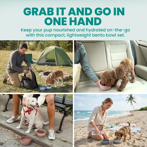 Miniatura 3 de KindTail Comedero portátil para mascotas, cuencos de viaje para perros con tapa y asa, apto para microondas y lavavajillas, cuenco interior de 10