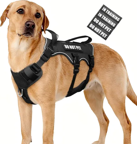 Miniatura 23 de WINSEE - Arnés para perro a prueba de fugas, arnés Molle de servicio y trabajo con doble asa, chaleco táctico para mascotas con 4 parches
