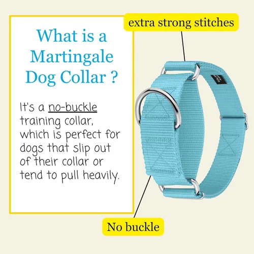 Miniatura 4 de Country Brook Petz - Collar para perro de nailon resistente Martingale de 15 colores (extra grande, 1 1/2 pulgadas de ancho, azul océano)