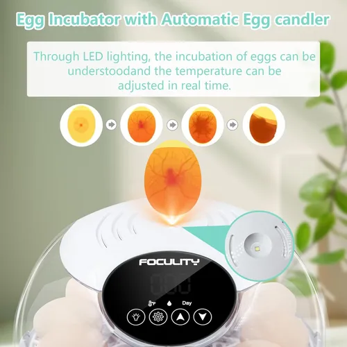 Miniatura 4 de Incubadora de huevos para incubar pollos, capacidad para 12 huevos, girador automático de huevos con temperatura, pantalla de humedad, vela