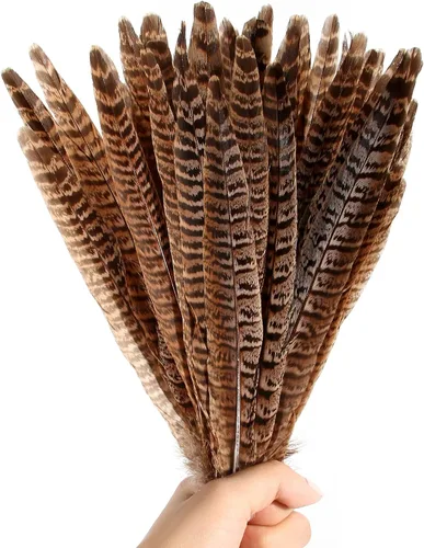 Miniatura 4 de THARAHT 24 plumas de faisán femenino, plumas naturales de 6 a 8 pulgadas, 5.9-7.9 in para manualidades, hogar, boda, fiesta, actuación, decoración