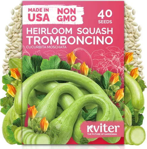 Miniatura 42 de KVITER 100 semillas de pimiento jalapeño Tam (Capsicum Annuum) para plantar – Especia suave, semillas autóctonas perfectas para rellenar, 1000-1500